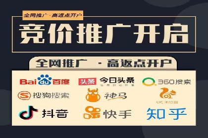 专业sem托管服务案例，揭秘广告投放优化策略